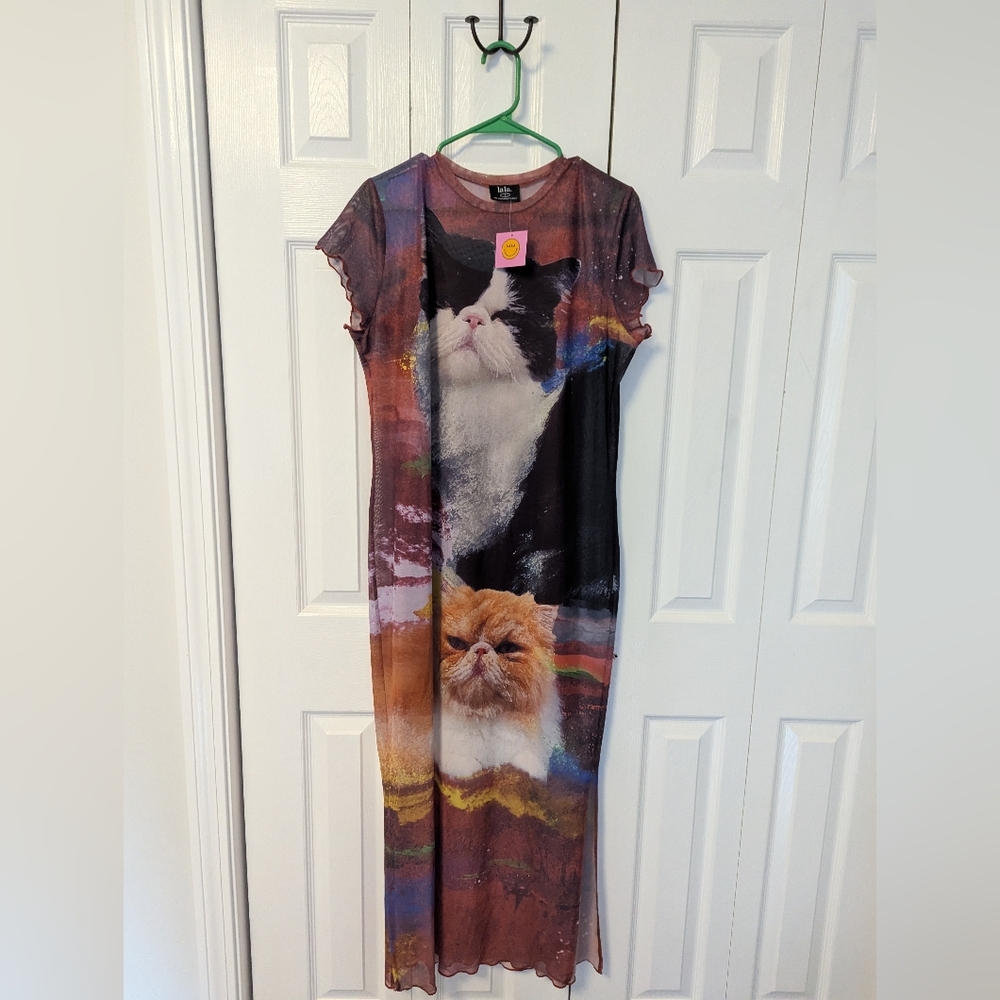 Lalas Mad About You Mesh Dress